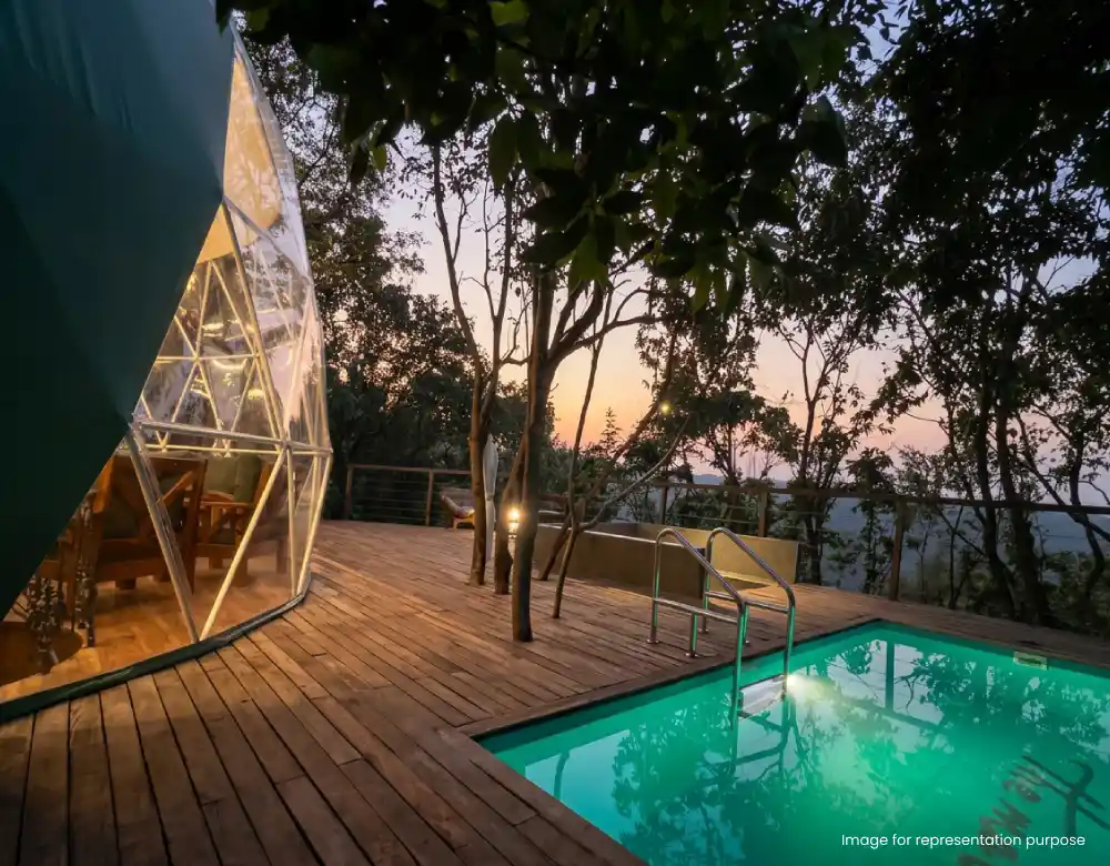Cocoon In The Forest