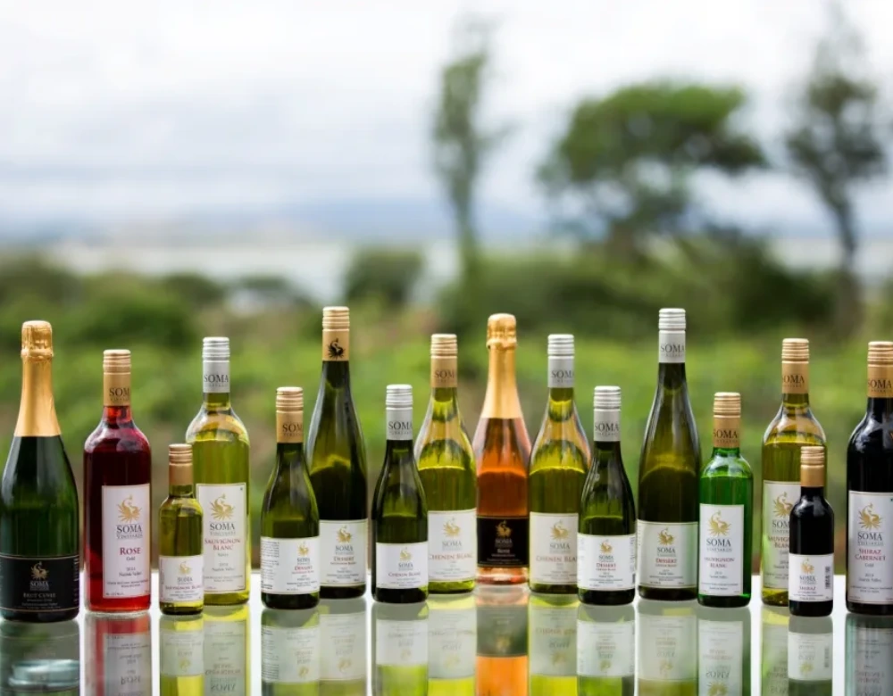 Vineyard Stay with Spa & Wine Tasting at Soma Vine Village, Nashik