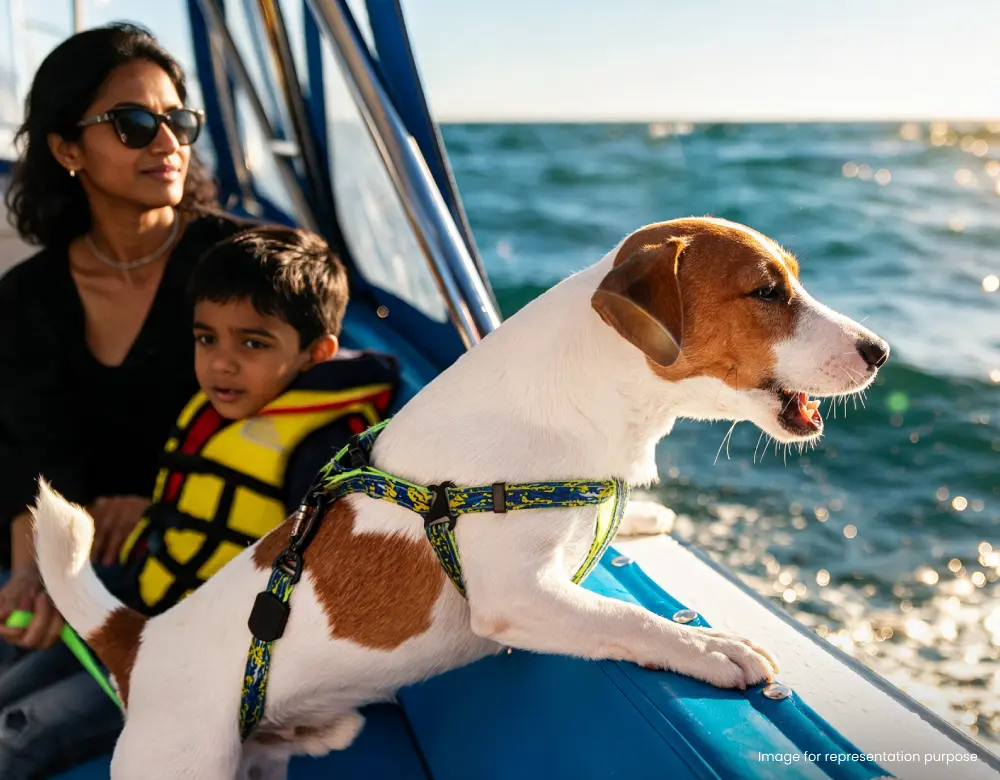 Pet-Friendly Yacht Sai by Discover Sailing, Colaba